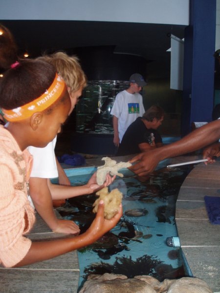 KeHa_in_South_Africa - 071